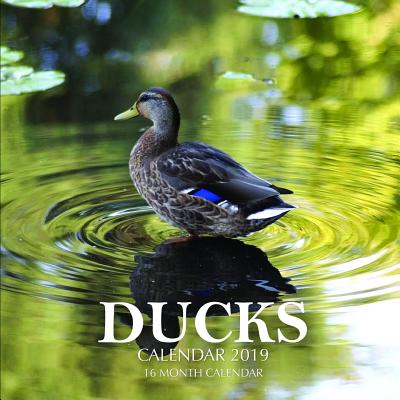 Ducks Calendar 2019: 16 Month Calendar By Mason Landon Cover Image