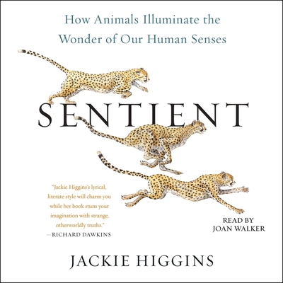 Sentient: How Animals Illuminate the Wonder of Our Human Senses By Jackie Higgins, Joan Walker (Read by) Cover Image
