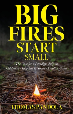 Big Fires Start Small: The Case for a Paradigm Shift in California's Response to Today's Wildfire Crisis Cover Image