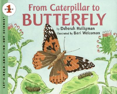 From Caterpillar to Butterfly Big Book (Let's-Read-and-Find-Out Science 1) Cover Image