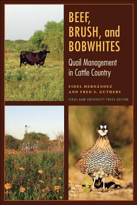 Beef, Brush, and Bobwhites: Quail Management in Cattle Country (Perspectives on South Texas, sponsored by Texas A&M University-Kingsville) By Fidel Hernández, Fred S. Guthery, Wyman Meinzer (Foreword by) Cover Image