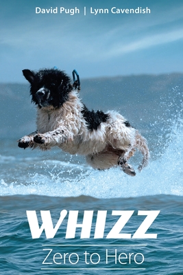 Whizz: Zero to Hero By David Pugh, Lynn Cavendish Cover Image