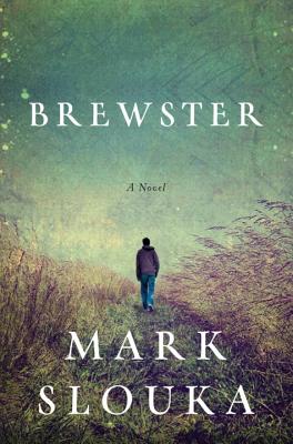 Cover Image for Brewster: A Novel