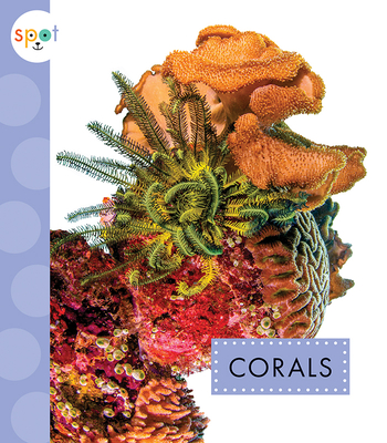 Corals (Spot Ocean Animals) By Mari Schuh Cover Image