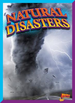 Natural Disasters (Rank It!) Cover Image