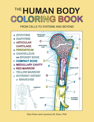 The Human Body Coloring Book: From Cells to Systems and Beyond (Coloring Concepts) By Coloring Concepts Inc. Cover Image