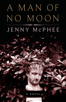 Cover for A Man of No Moon: A Novel