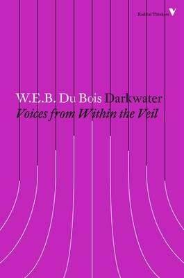 Darkwater: Voices from Within the Veil (Radical Thinkers)