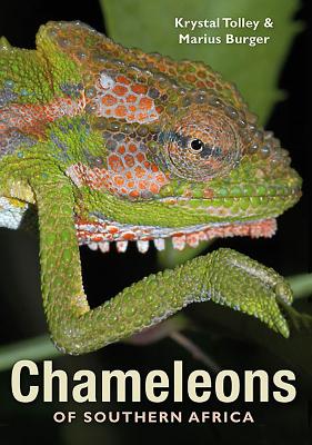 Chameleons of Southern Africa By Marius Burger, Krystal Tolley Cover Image
