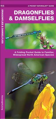 Dragonflies & Damselflies: A Folding Pocket Guide to Familiar, Widespread North American Species (Wildlife and Nature Identification)