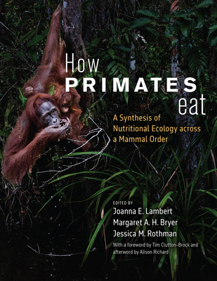 How Primates Eat: A Synthesis of Nutritional Ecology across a Mammal Order By Joanna E. Lambert (Editor), Margaret A. H. Bryer (Editor), Jessica M. Rothman (Editor), T. H. Clutton-Brock (Foreword by), Alison Richard (Afterword by) Cover Image