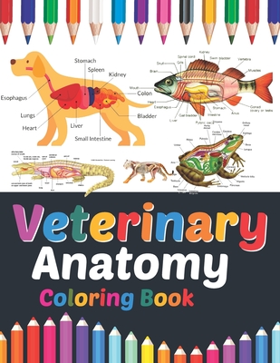 Veterinary Anatomy Coloring Book: Veterinary Anatomy Coloring and Activity  Book for Boys & Girls. Veterinary Anatomy Student's Self-Test Coloring Book  (Paperback) | Books and Crannies