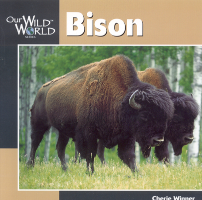 Bison (Our Wild World) By Cherie Winner Cover Image