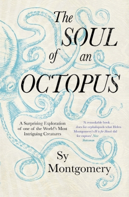 The Soul of an Octopus Cover Image