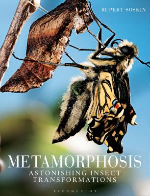 Metamorphosis: Astonishing insect transformations By Rupert Soskin Cover Image