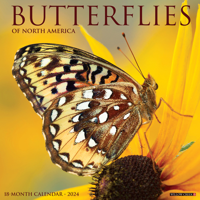 Butterflies 2024 12 X 12 Wall Calendar By Willow Creek Press Cover Image
