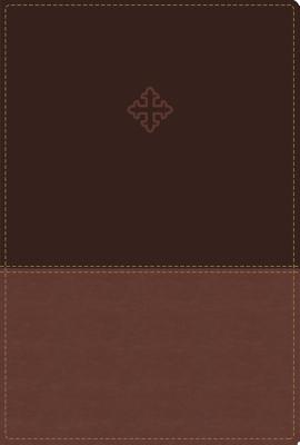 Amplified Study Bible, Imitation Leather, Brown, Indexed By Zondervan Cover Image