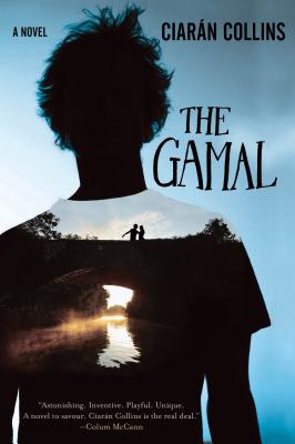 Cover Image for The Gamal: A Novel