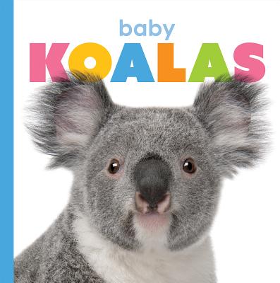 Baby Koalas Cover Image