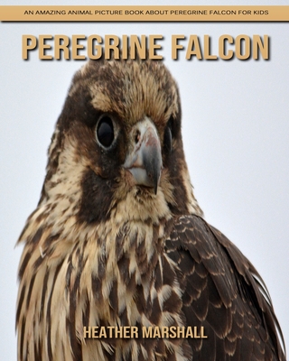 Peregrine Falcon: An Amazing Animal Picture Book about Peregrine Falcon for  Kids (Paperback) | Books and Crannies