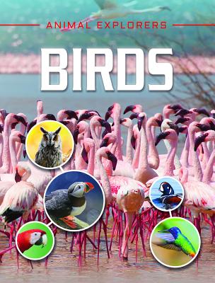 Birds (Animal Explorers)