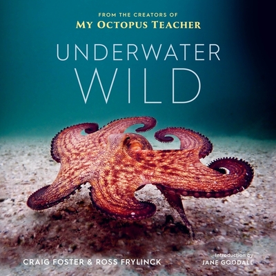 Underwater Wild: My Octopus Teacher's Extraordinary World By Craig Foster, Ross Frylinck Cover Image