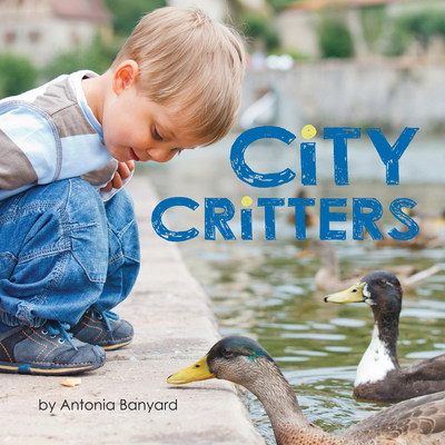 City Critters By Antonia Banyard Cover Image