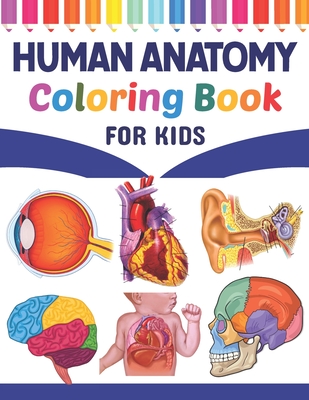 human body for kids coloring pages