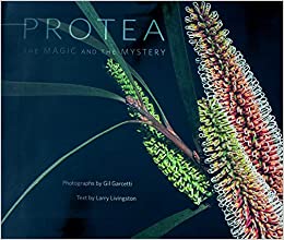 Protea: The Magic and the Mystery By Gil Garcetti, Larry Livingston Cover Image