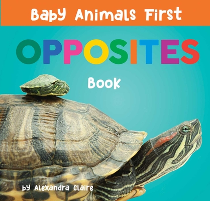 Baby Animals First Opposites Book (Baby Animals First Series) By Alexandra Claire Cover Image