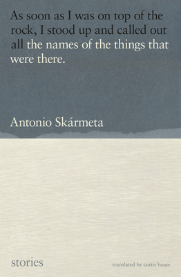 The Names of the Things That Were There: Stories By Antonio Skármeta, Curtis Bauer (Translated by) Cover Image