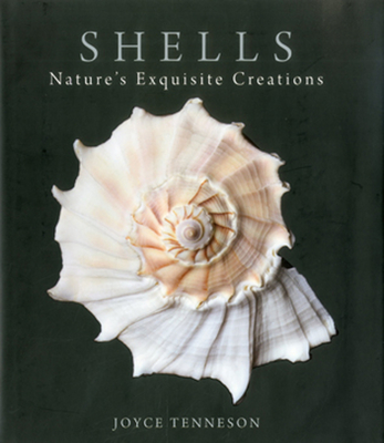 Shells: Nature's Exquisite Creations Cover Image