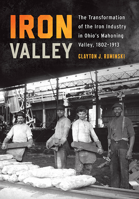 Iron Valley: The Transformation of the Iron Industry in Ohio's Mahoning Valley, 1802–1913 (Trillium Books )