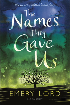 Cover for Names They Gave Us