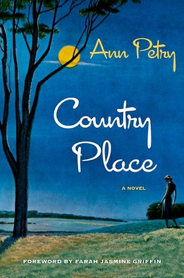 Cover for Country Place: A Novel