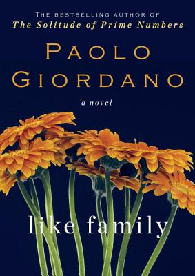 Cover Image for Like Family: A Novel
