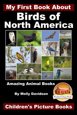 My First Book About the Birds of North America - Amazing Animal Books -  Children's Picture Books (Paperback) | Hooked