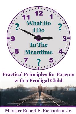 What Do I Do In The Meantime?: Practical Principles for Parents with a Prodigal Child Cover Image