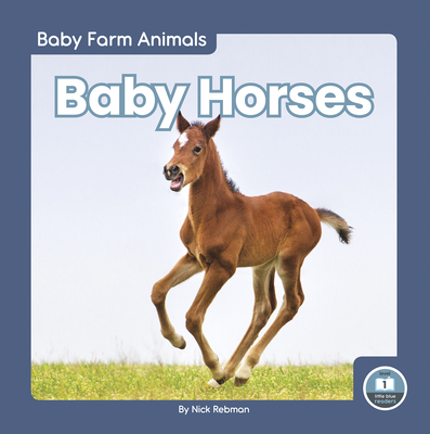 Baby Horses By Nick Rebman Cover Image