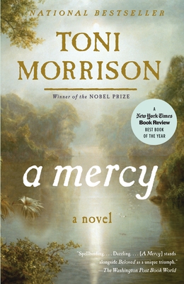 A Mercy (Vintage International)