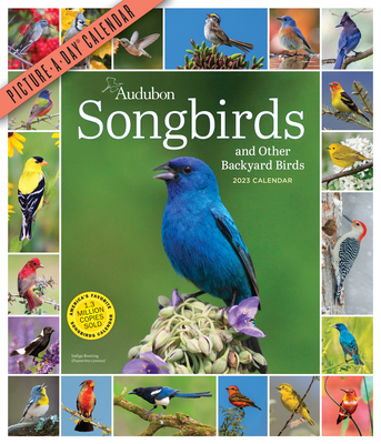 Audubon Songbirds and Other Backyard Birds Picture-A-Day Wall Calendar 2023: A Beautiful Bird Filled Way to Keep Track of 2023 By Workman Calendars, National Audubon Society Cover Image