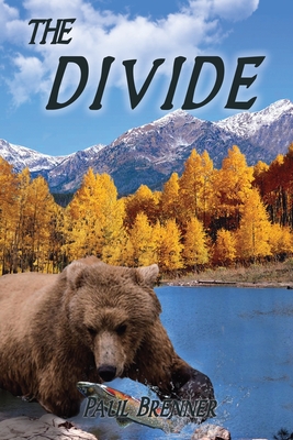 The Divide Cover Image