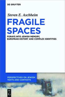 Fragile Spaces: Forays Into Jewish Memory, European History and Complex Identities (Perspectives on Jewish Texts and Contexts #8)