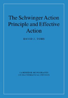 The Schwinger Action Principle and Effective Action (Cambridge Monographs on Mathematical Physics)