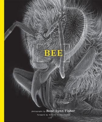 Cover for Bee