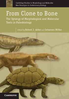 Evolution of the House Mouse (Cambridge Studies in Morphology and