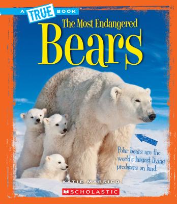 Bears (True Book: Most Endangered) (A True Book: The Most Endangered) By Katie Marsico Cover Image
