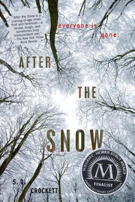 After the Snow Cover Image