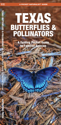 Texas Butterflies & Pollinators: A Folding Pocket Guide to Familiar Species By James Kavanagh, Raymond Leung (Illustrator) Cover Image