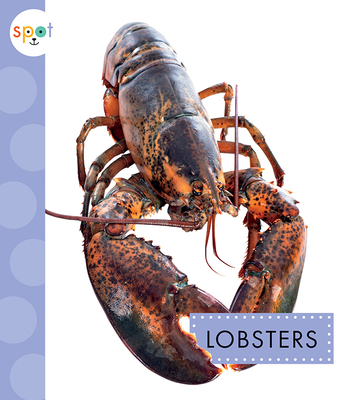 Lobsters (Spot Ocean Animals) By Mari Schuh Cover Image